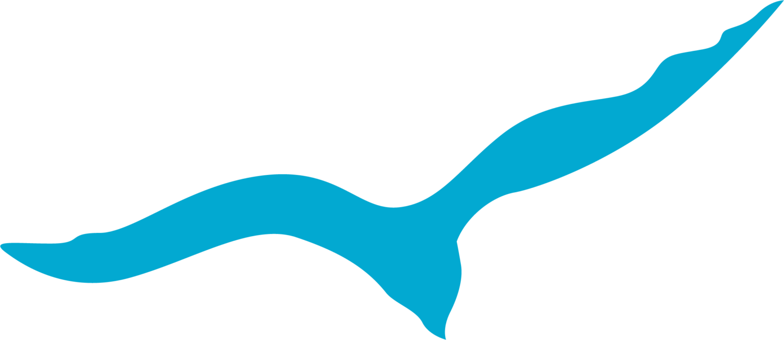 Viking Gazette Cape Gazette